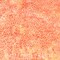Fabric Hoffman Sherbet Bali Hand Painted Dots Batiks by the Quarter Yard 885-314